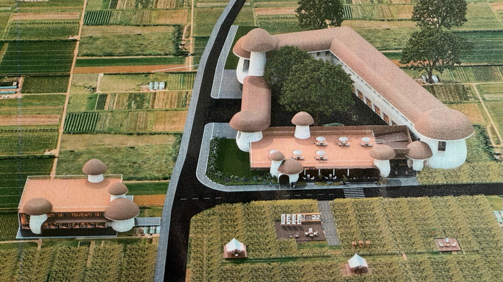 深化村企聯(lián)建 共謀文旅發(fā)展_看圖王.jpg